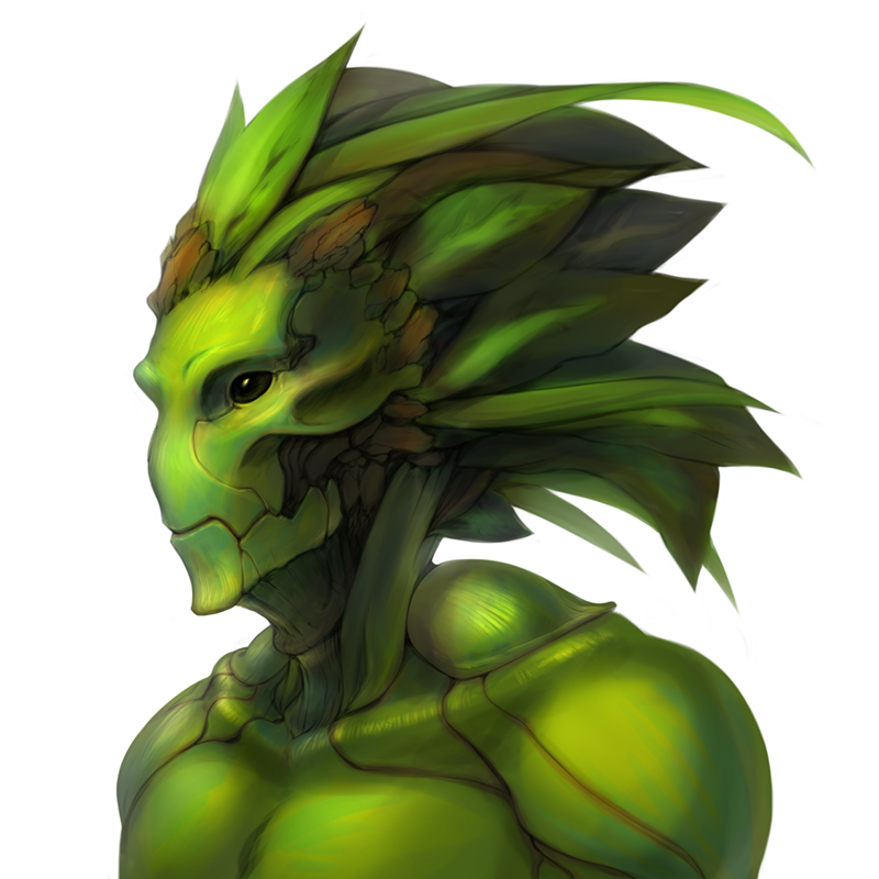 Floran (5e Race) - D&D Wiki